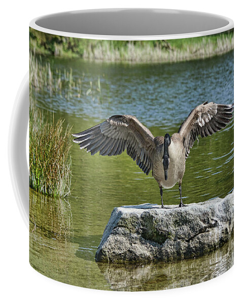 Ring Coffee Mug featuring the photograph Reflective Moment by Vivian Martin