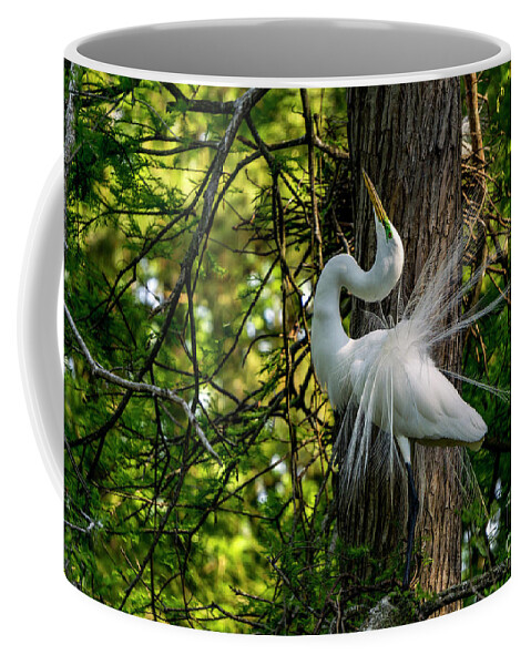 Egret Coffee Mug featuring the photograph Regal Egret by David Smith