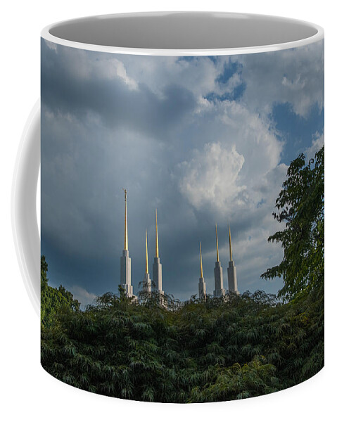 Architecture Coffee Mug featuring the photograph Regal spires by Brian Green