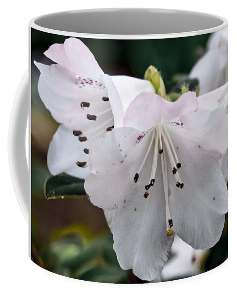 White Exotic Flower Coffee Mug featuring the photograph Relinquent by Elena Perelman