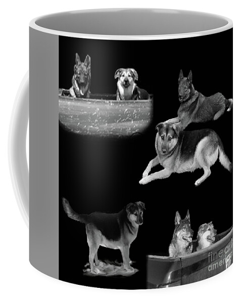 Dog Coffee Mug featuring the photograph Remembering Phoenix by Vivian Martin
