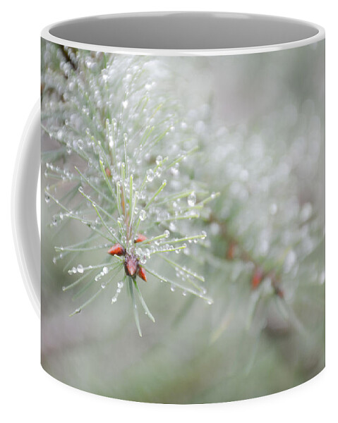Christmas Coffee Mug featuring the photograph Reminds me of Christmas by Kathy Paynter