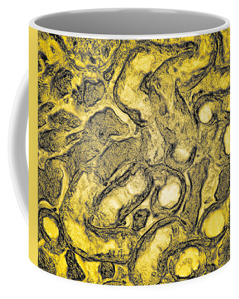  Coffee Mug featuring the photograph Renal Gold by Rein Nomm
