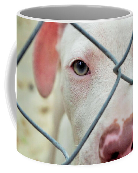 Dog Coffee Mug featuring the photograph Rescue Me by Stoney Lawrentz