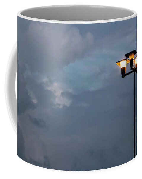 Light Coffee Mug featuring the photograph Responding to Light 3 - by Julie Weber