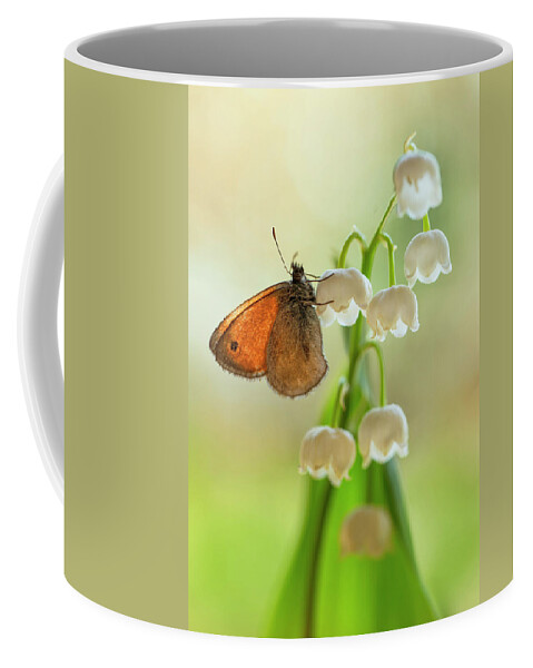 Butterfly Coffee Mug featuring the photograph Rest in the morning sun by Jaroslaw Blaminsky