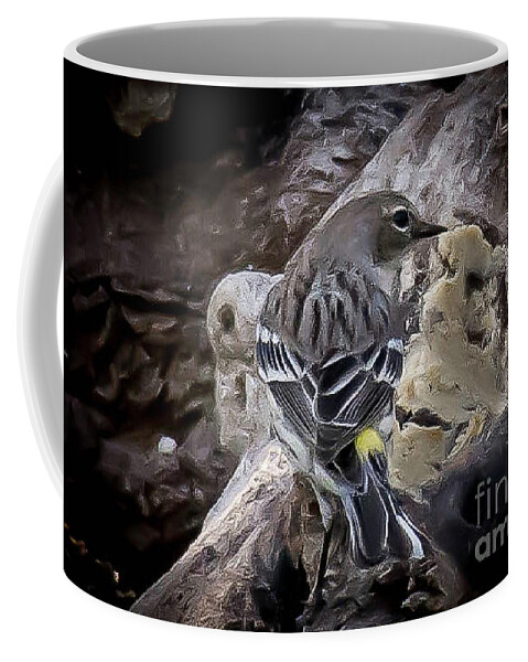 Nature Coffee Mug featuring the photograph Yellow Rumped warbler by Barry Bohn