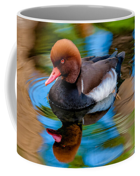 Bird Coffee Mug featuring the photograph Resting In Pool Of Colors by Christopher Holmes
