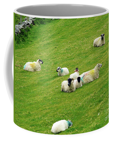 Sheep Photography Coffee Mug featuring the photograph Resting by Patricia Griffin Brett