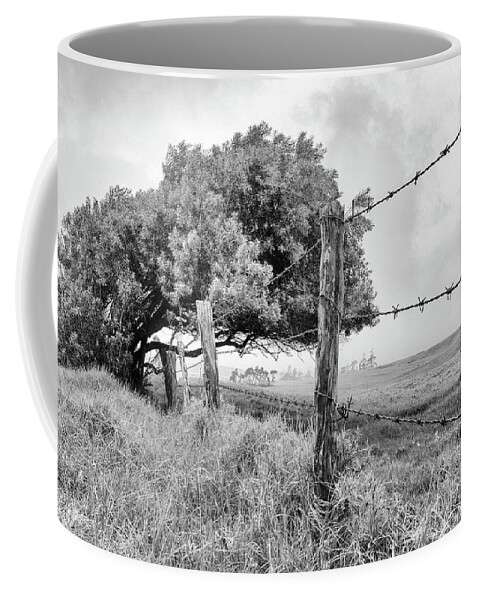 Black And White Coffee Mug featuring the photograph Restricted by Christopher Johnson