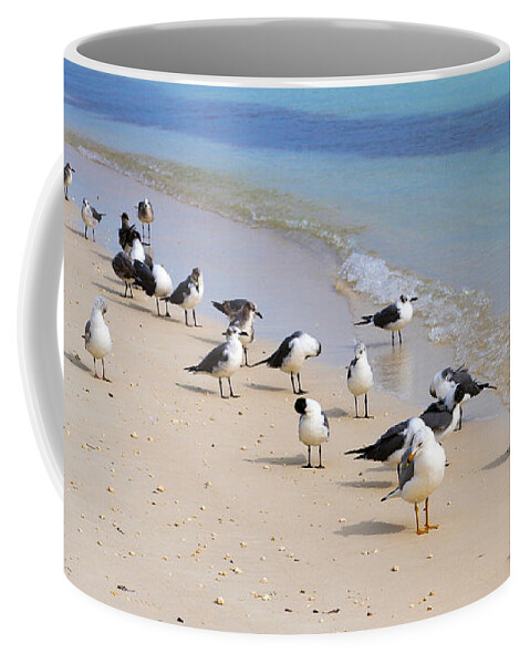 Bonnie Follett Coffee Mug featuring the photograph Rhapsody in Seabird by Bonnie Follett