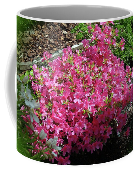 Rhododendron Coffee Mug featuring the photograph Rhododendron by Jackie Russo