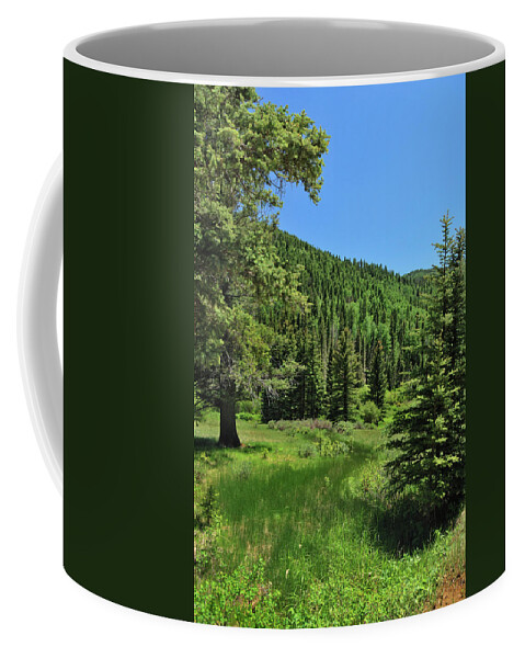 Landscape Coffee Mug featuring the photograph Rio Chiquito Canyon by Ron Cline