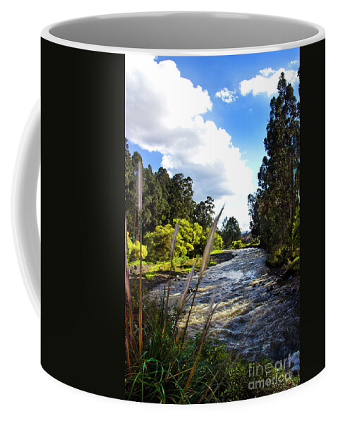 Rio Coffee Mug featuring the photograph Rio Tomebamba, One Of Cuenca's Four Rivers by Al Bourassa