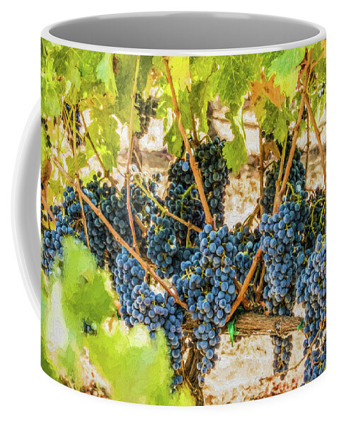 California Coffee Mug featuring the photograph Ripe Grapes on Vine by David Letts