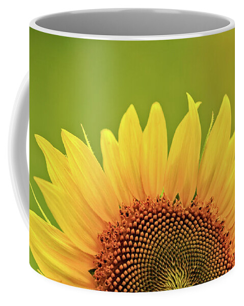 Anderson Sunflower Farm Coffee Mug featuring the photograph Rise And Shine by Doug Sturgess