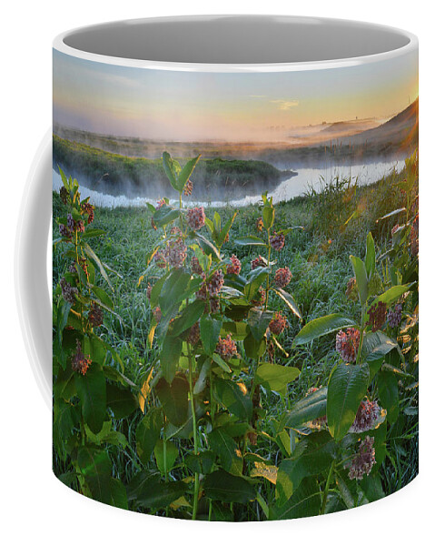 Glacial Park Coffee Mug featuring the photograph Rising Sun Backlights Milkweed along Nippersink Creek in Glacial Park by Ray Mathis