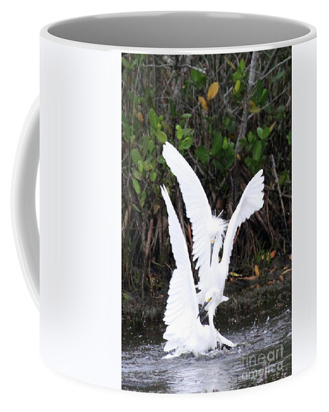 Rival Pair Coffee Mug featuring the photograph Rival Pair by Jennifer Robin