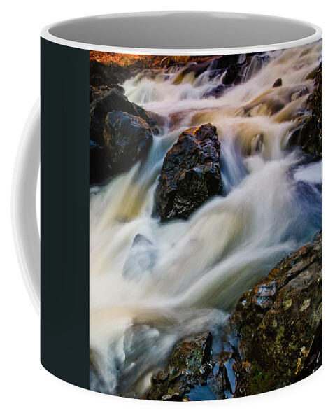 Troy Coffee Mug featuring the photograph River Dance by Neil Shapiro