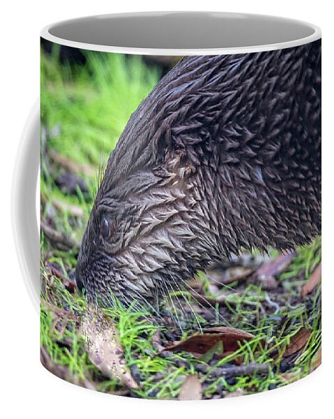 Nature Coffee Mug featuring the photograph River Otter Astray by DB Hayes