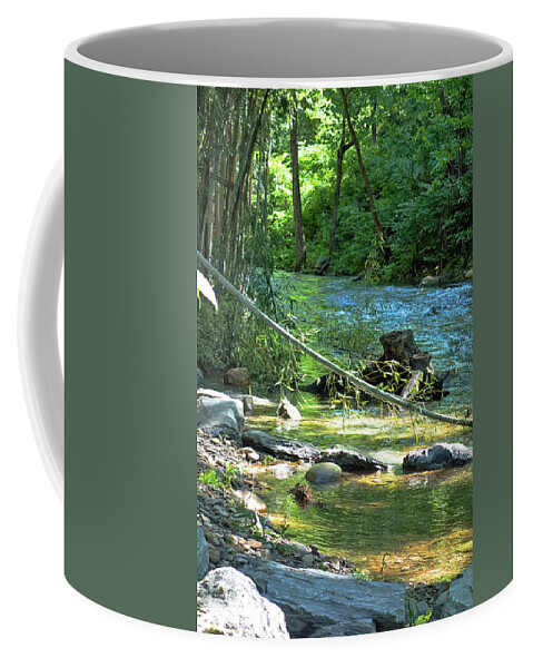 North Carolina River Y5614. River Coffee Mug featuring the photograph North Carolina River y5614 by Carlos Diaz
