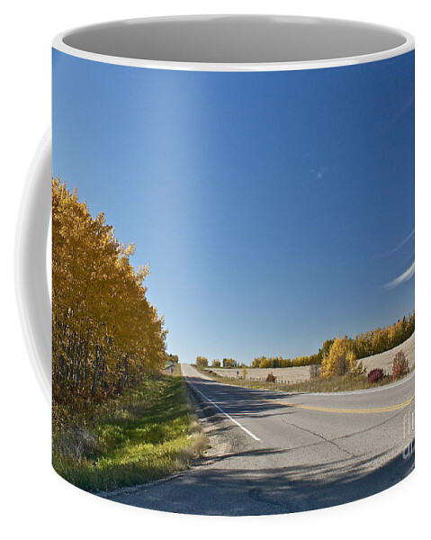 Road Coffee Mug featuring the photograph Road to Somewhere by Linda Bianic