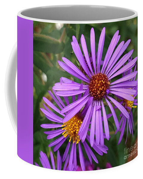 Purple Coffee Mug featuring the photograph Roadside flowers by Christina A Pacillo