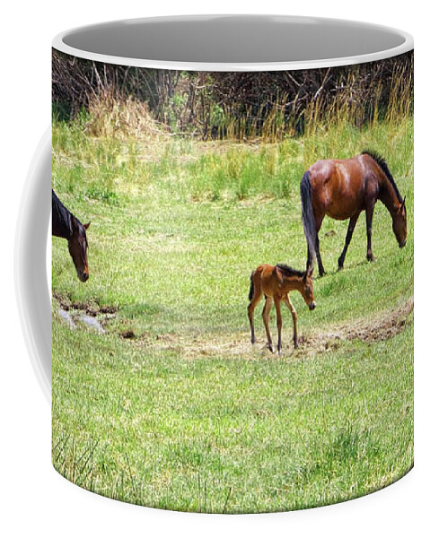 Horses Coffee Mug featuring the photograph Roaming Freely by Elaine Malott