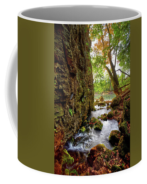 River Coffee Mug featuring the photograph Roaring Spring by Robert Charity