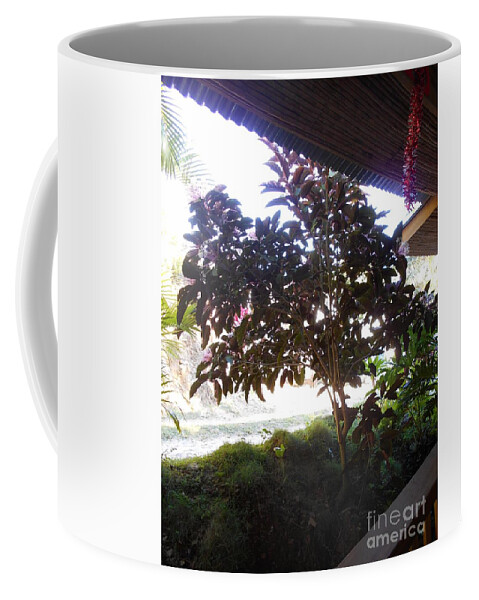 Roatan Coffee Mug featuring the photograph Roatan tree by Nancy Graham