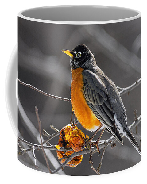 Robin Red Breasr Coffee Mug featuring the photograph Robin Catching Rays by Marty Saccone