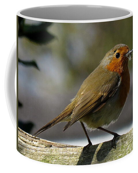 Robin Coffee Mug featuring the photograph Robin3 by John Topman