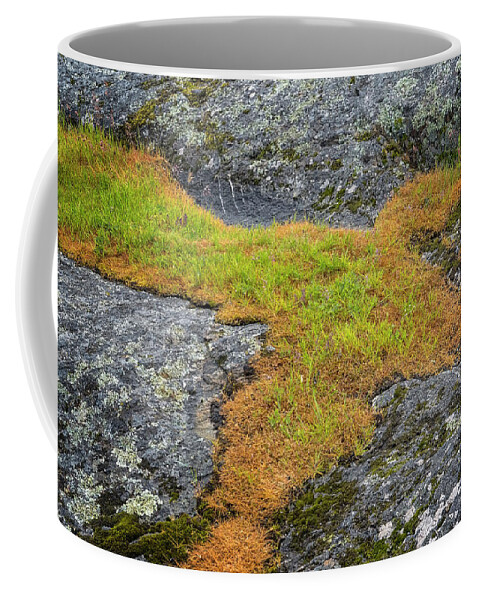 Oregon Coast Coffee Mug featuring the photograph Rock And Grass by Tom Singleton