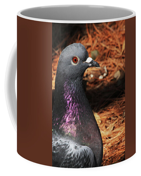 Rock Dove Coffee Mug featuring the photograph Rock Dove Upclose by Karol Livote