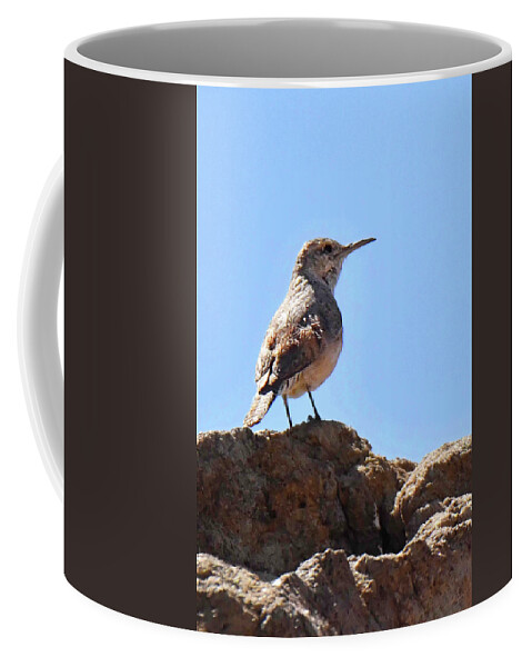 Bird Coffee Mug featuring the photograph Rock Wren by Alan Lenk