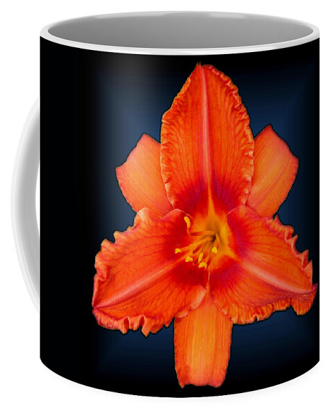 Daylily Coffee Mug featuring the photograph Rocket Orange Daylily by Tara Hutton