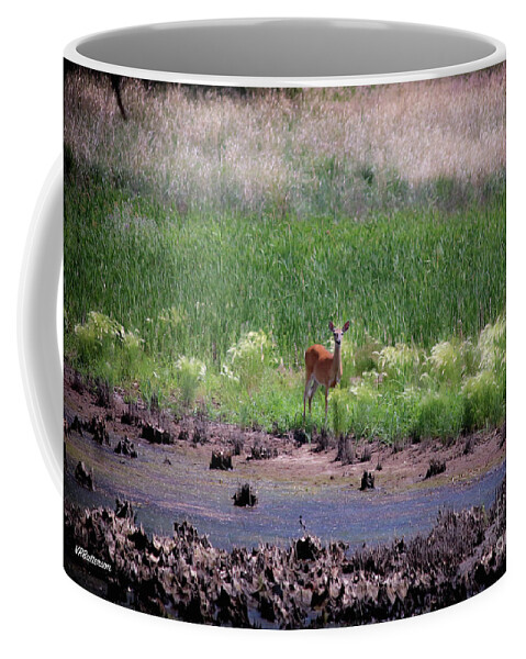 Deer Coffee Mug featuring the photograph Rocky Mountain Arsenal National Wildlife Refuge by Veronica Batterson