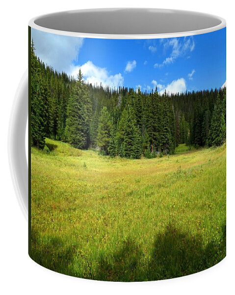 Meadow Coffee Mug featuring the photograph Rocky Mountain Meadow by Connor Beekman