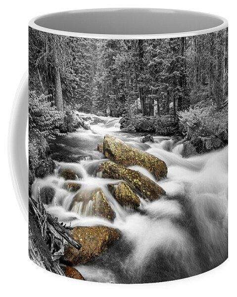 Rocky Coffee Mug featuring the photograph Rocky Mountain National Forest Stream BWSC by James BO Insogna