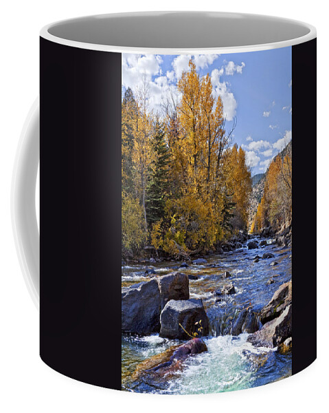 Stream Coffee Mug featuring the photograph Rocky Mountain Water by Kelley King