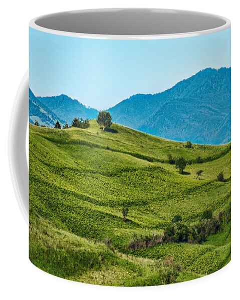 Romania Coffee Mug featuring the photograph Rolling Hills - Romania by Stuart Litoff