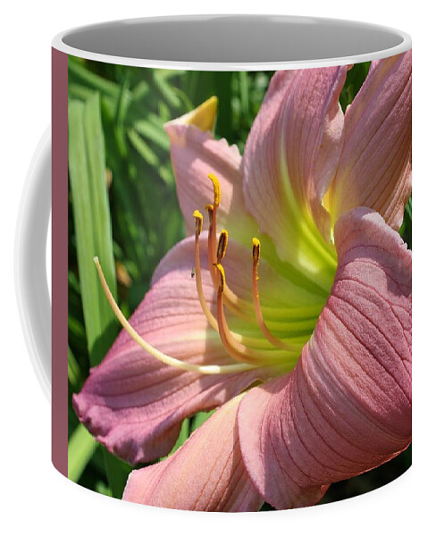 Flora Coffee Mug featuring the photograph Romance in the Afternoon by Bruce Bley