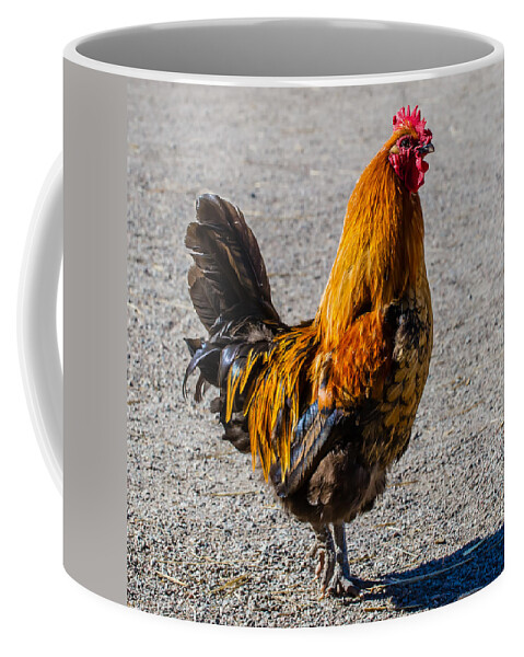 Rooster Coffee Mug featuring the photograph Rooster by Torbjorn Swenelius