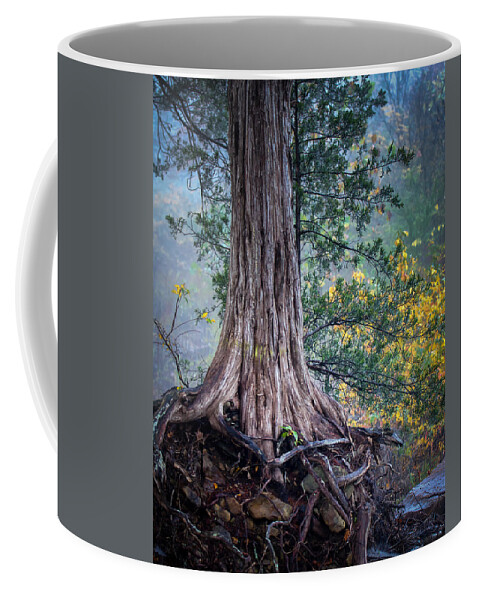 Ozarks Coffee Mug featuring the photograph Rooted by James Barber