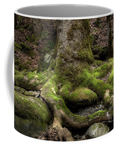 Roots Coffee Mug featuring the photograph Roots Along The River by Mike Eingle