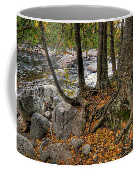 Canada Coffee Mug featuring the photograph Roots by Doug Gibbons