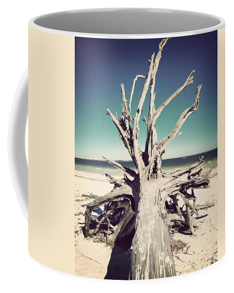 Florida Coffee Mug featuring the photograph Roots to the Sky-Vintage by Chris Andruskiewicz