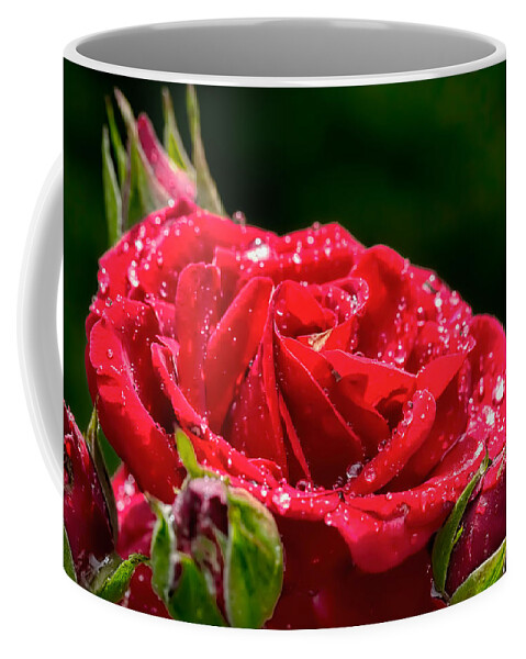 Rose Coffee Mug featuring the photograph Rose After Rain by Leif Sohlman