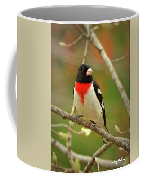 Birds Coffee Mug featuring the photograph Rose-breasted Grosbeak by Harry Moulton