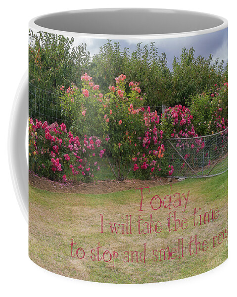 Floral Coffee Mug featuring the photograph Rose Garden by Elaine Teague